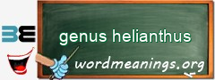 WordMeaning blackboard for genus helianthus